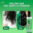 SunSilk STRONG & LONG Shampoo 180ml - Sun Silk