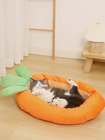 Video 1 von 1