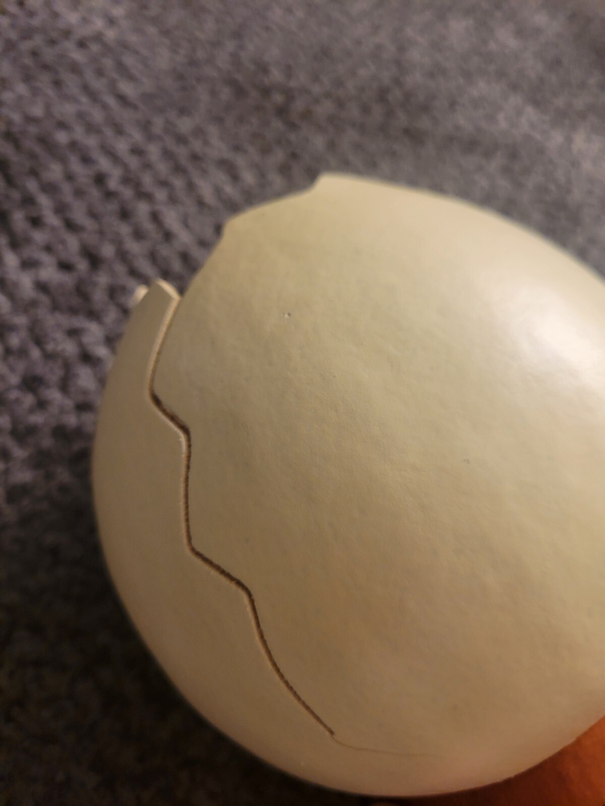 Picture 3 of 5
