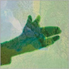 NATIVE INSTRUMENT CAMO NEW LP