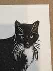 Anastasia Inciardi Mini Print Rigby — photo 2