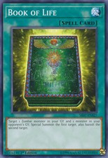 Book of Life [SR07-EN027] Common