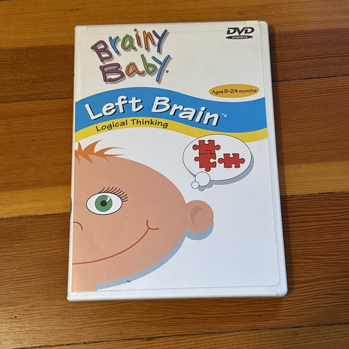 BRAIN NAVIGATION ブレインナビゲーション DVD 特典 テキスト BRAIN