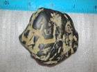 Native American Indian Hydroglypgic Rock Oregon Petroglyph Ancient Basalt 2.5" — photo 2