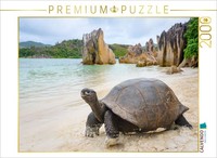 Calvendo Puzzle Aldabra Giant Tortoise On Curieuse | 2000 Pieces, Finished Size