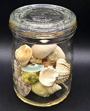 Vintage Sour Cream Jar Wit Glass Lid Filled with Assorted Seashells
