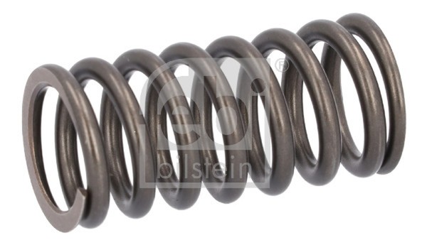 Ventilfeder Febi Bilstein 187734 FüR Daf Cf Xf 2 Lf 55 Xd Xg 85 105 Ginaf-image