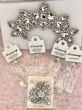 Silver Wedding Accessory Bundle Bride Veil Accent HairPins Brooch Rhinestones