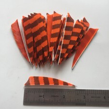 50PCS 2.5inch Striped Orange Shield Fletches Feathers Fletching RW LW