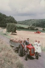 Massey Ferguson MF35 Tractor and Trailer Canvas Picture Print- 