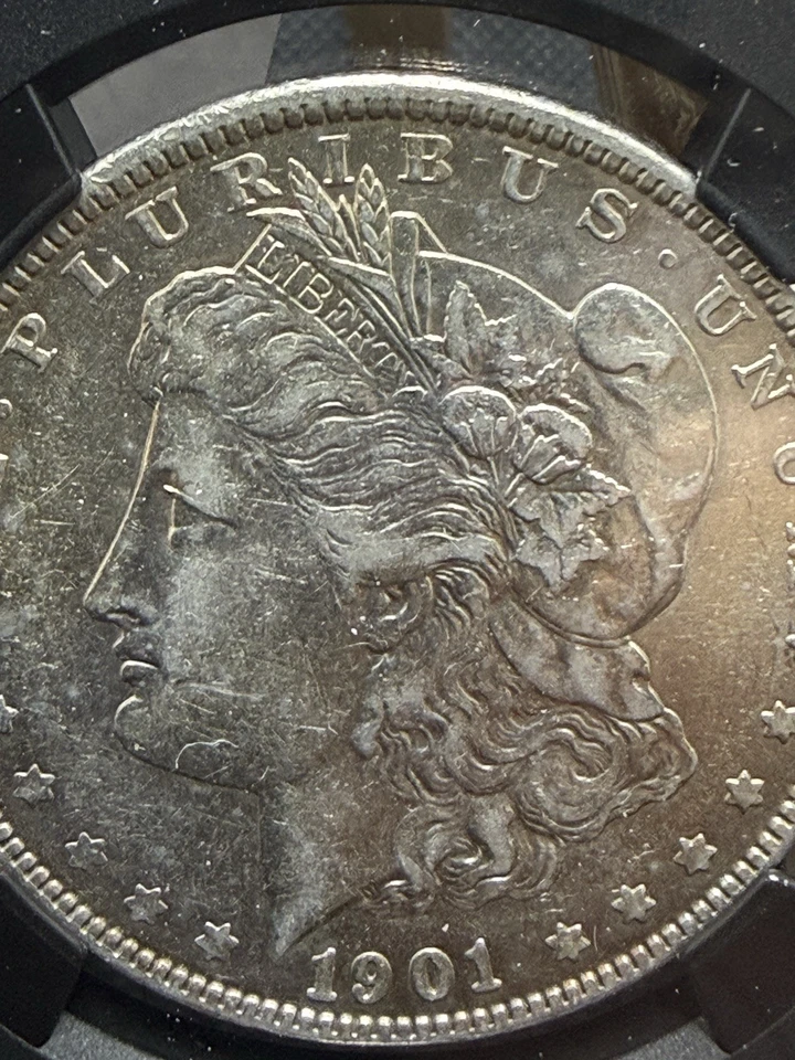 1901 P Morgan  XF40 Vault Box Mosaic NGC Key Date Toning - Image 3 of 4