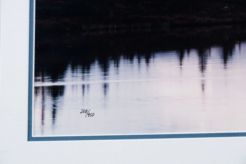 Foto de Thomas Mangelsen "Bajo la cordillera de Alaska - Loon" L.E. Foto enmarcada 208/950 Foto 4 de 4