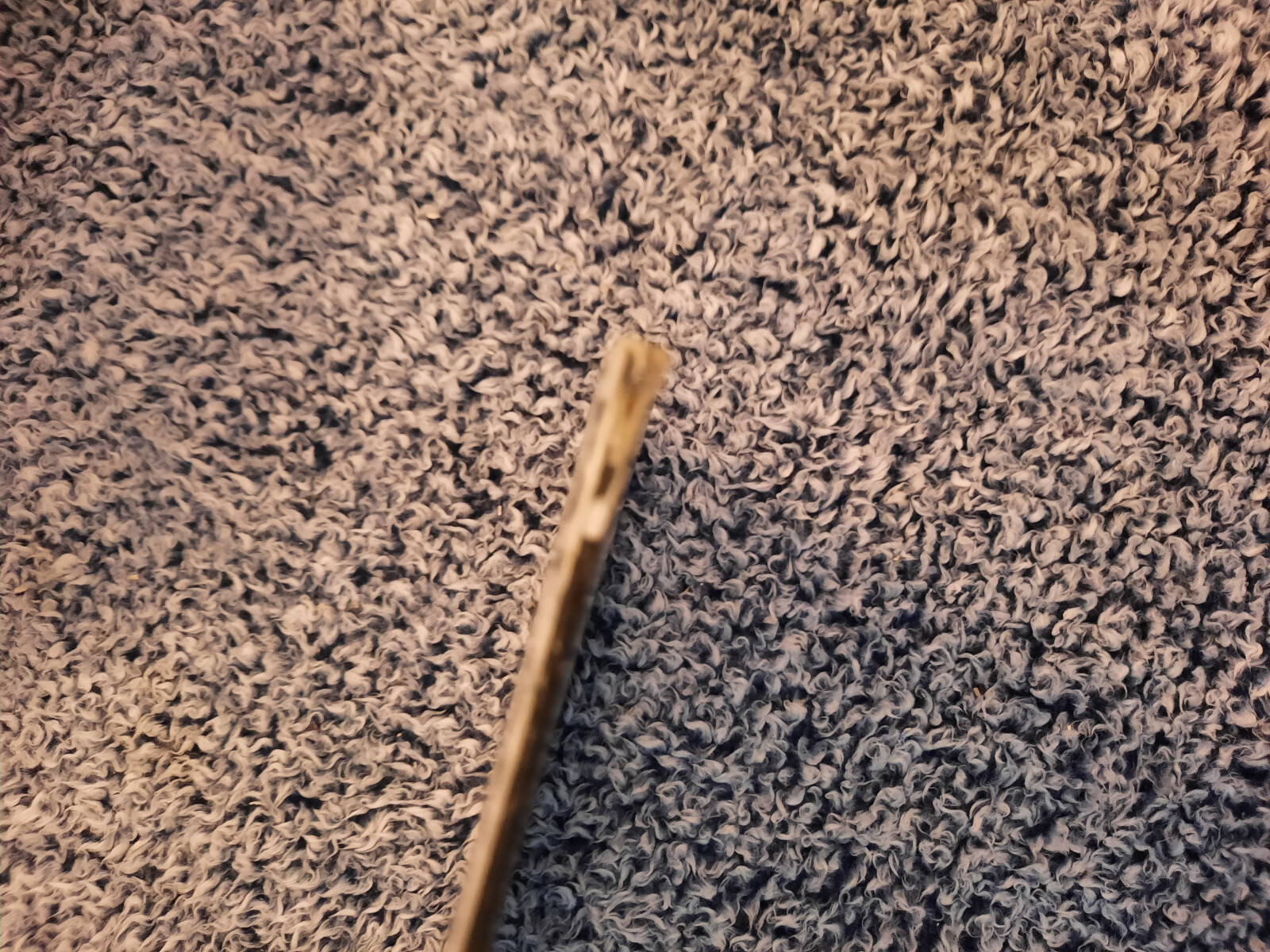 Pat Galo: Live at the Blue Grass. 1973. Vinyl Record Album LP. E2C4S. Signed!