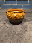 Roseville Pottery Bushberry Jardiniere 657-3  Terra Cotta Background