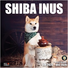 Shiba Inu 2026 Wall Calendar  12 Months  Cute Puppy Gift  12" x 24"