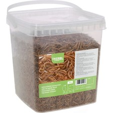 2 x 0,9 kg Mehlwürmer getrocknet Koifutter Reptilien Fische Nager Vögel Igel
