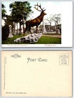 Providence Rhode Island Elks Memorial Monument Postcard AG451