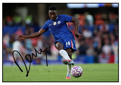 12166. Dario Essugo Signed Pictures (A4 Prints) Chelsea Sporting Lisbon etc.