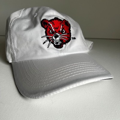 Vintage University of Cincinnati Bearcats Fifth Third Bank Dad Cap Embroidered