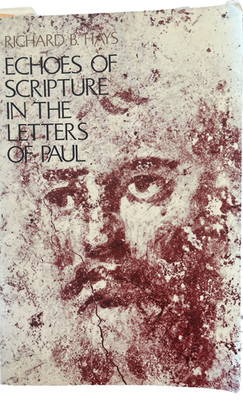 Echoes of Scripture in the Letters of Paul by Richard B. Hays  - paperback