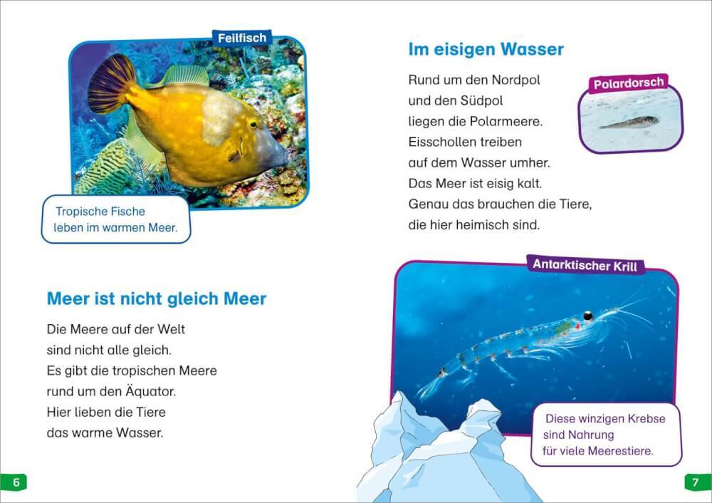 Thumbnail - Was Ist Was Erstes Lesen Easy Band 2. Tiere Meer