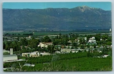 Postcard CA Loma Linda University Campus California South Hills Slide Peak