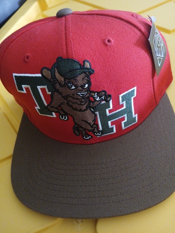 Th  Dinger The Hunndreds New W Tags Bnwt Rare Vintage Red Brown Snapback Hat