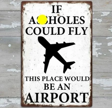 If A**holes Could Fly This Place Would Be An Airport 8 x 12 Novelty Metal Sign