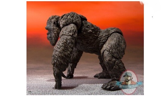 S.H. MonsterArts Godzilla vs Kong Film 2021 Kong Figure by