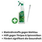 Bild 5 von 9