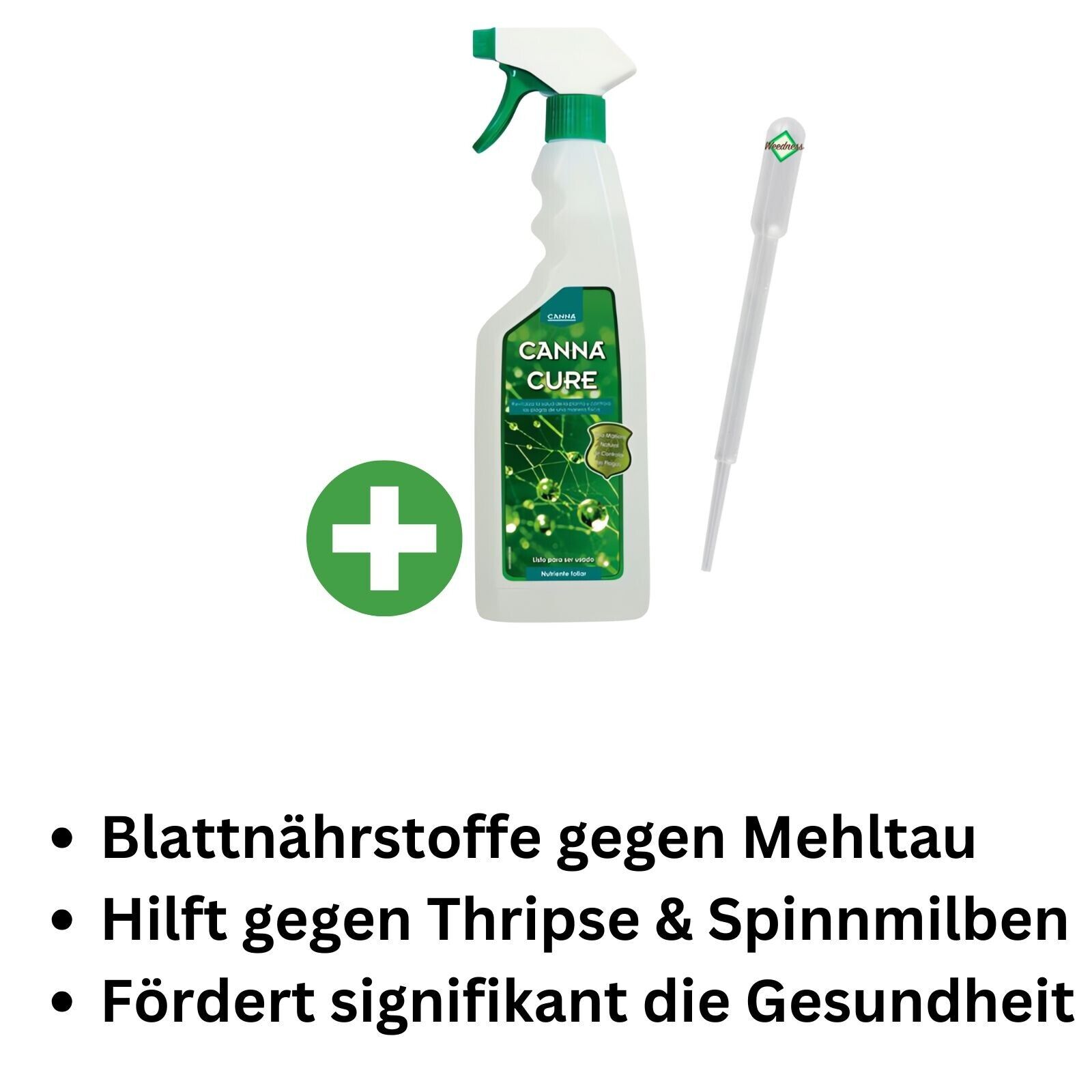 Bild 5 von 9