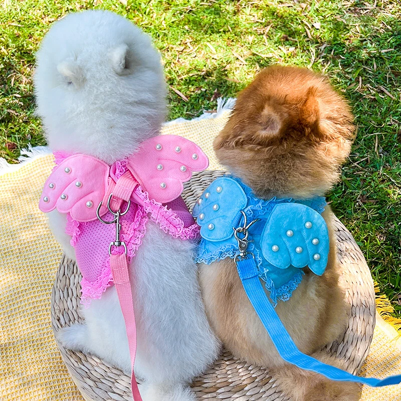 Dog Harness and Leash Set Breathable Soft Vest Harness for Small Pet Cat Puppy