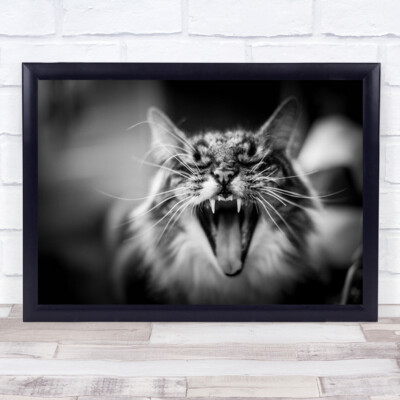 Hear Meow Katze Katzen brüllen Reißzähne gähnen Bokeh verschwimmen verschwommen Tier Wandkunstdruck