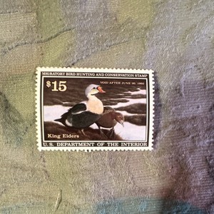 US Federal Duck Stamp King Eiders $15 MNH Uncancelled 1991-2000 Ducks