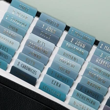 -Laminated Bible Tabs with Book Summaries(Gold Foil Embossed Lettering), Bible T