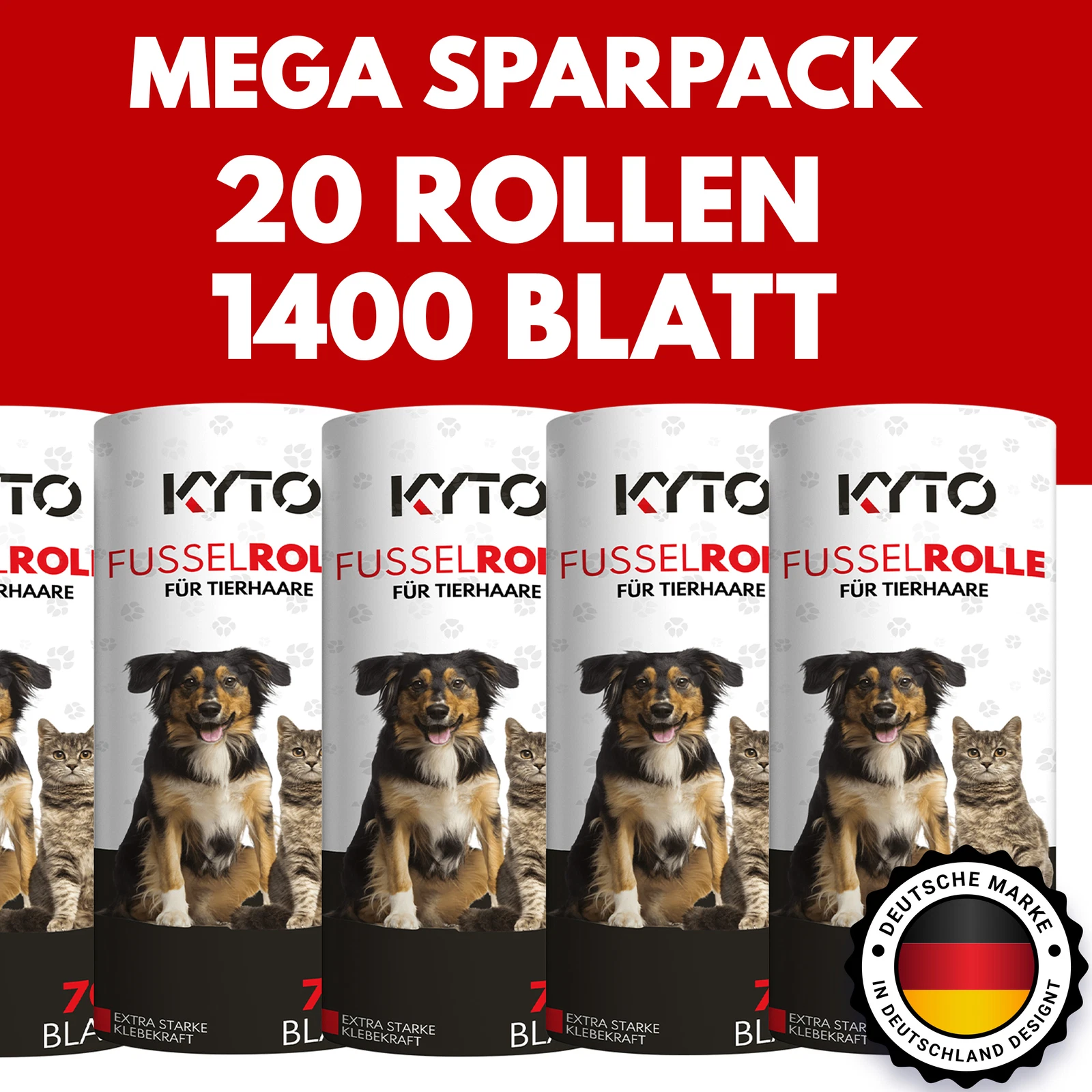 Bild 12 von 15