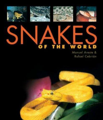 Snakes - WorldAtlas