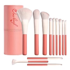 12 Pcs Makeup Brushes Set with Case Holder Face Powder Blush Concealers
