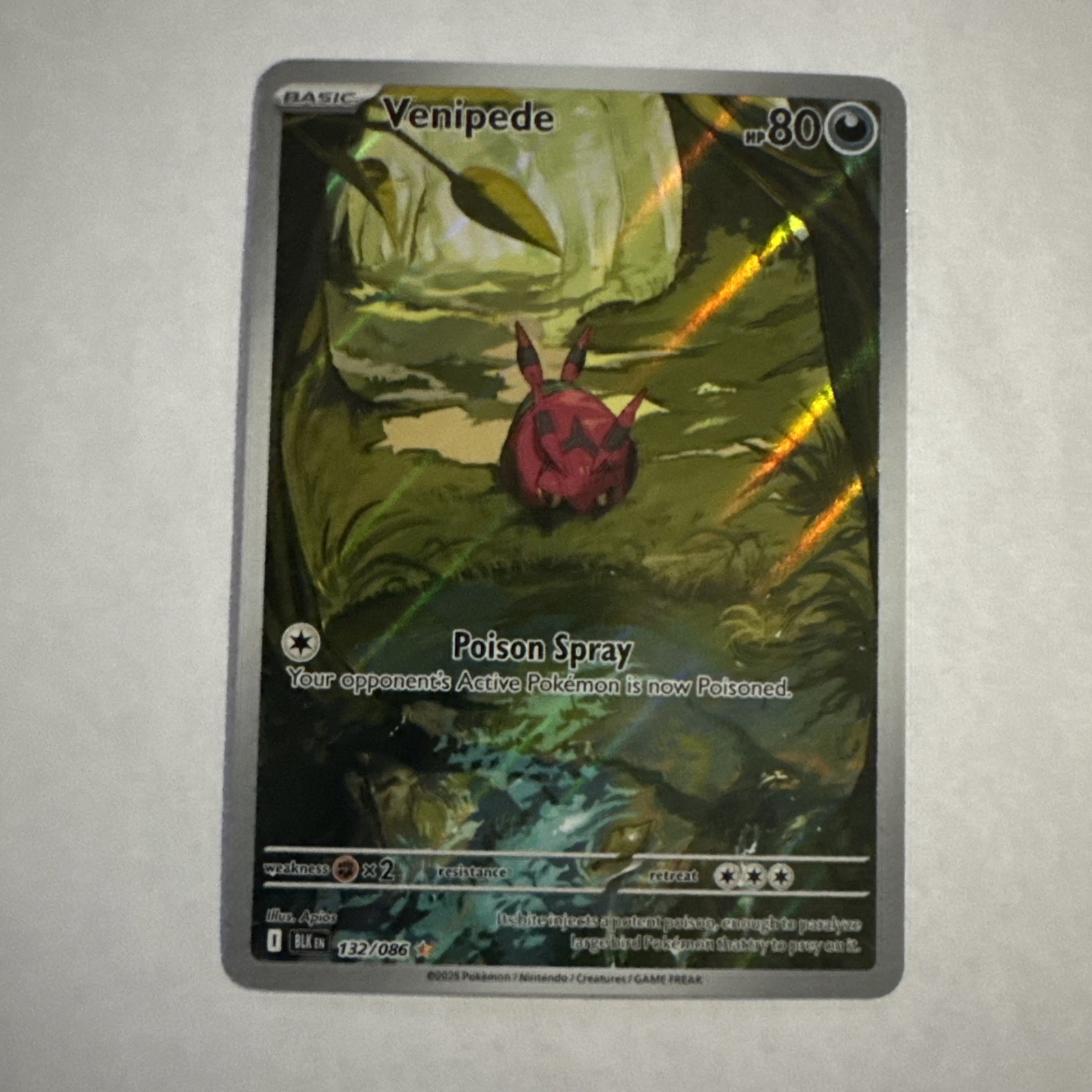 Pokemon TCG SV: Black Bolt Venipede 132/086 Illustration Rare  NM