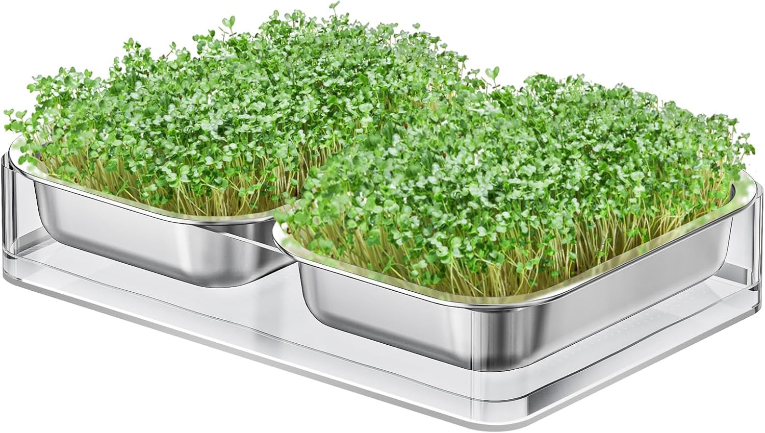 grow pots, net FANHAO Upgraded Visual