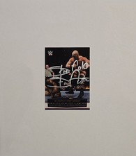 2014 Topps WWE Wrestling Cards 19