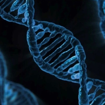 DNA Genetics Science Stickers (4) Labels Card Gift Craft Paper Journal