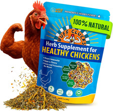 Herb Supplement for Backyard Chickens - Natural Chicken Treats, Poultry Feed Bot