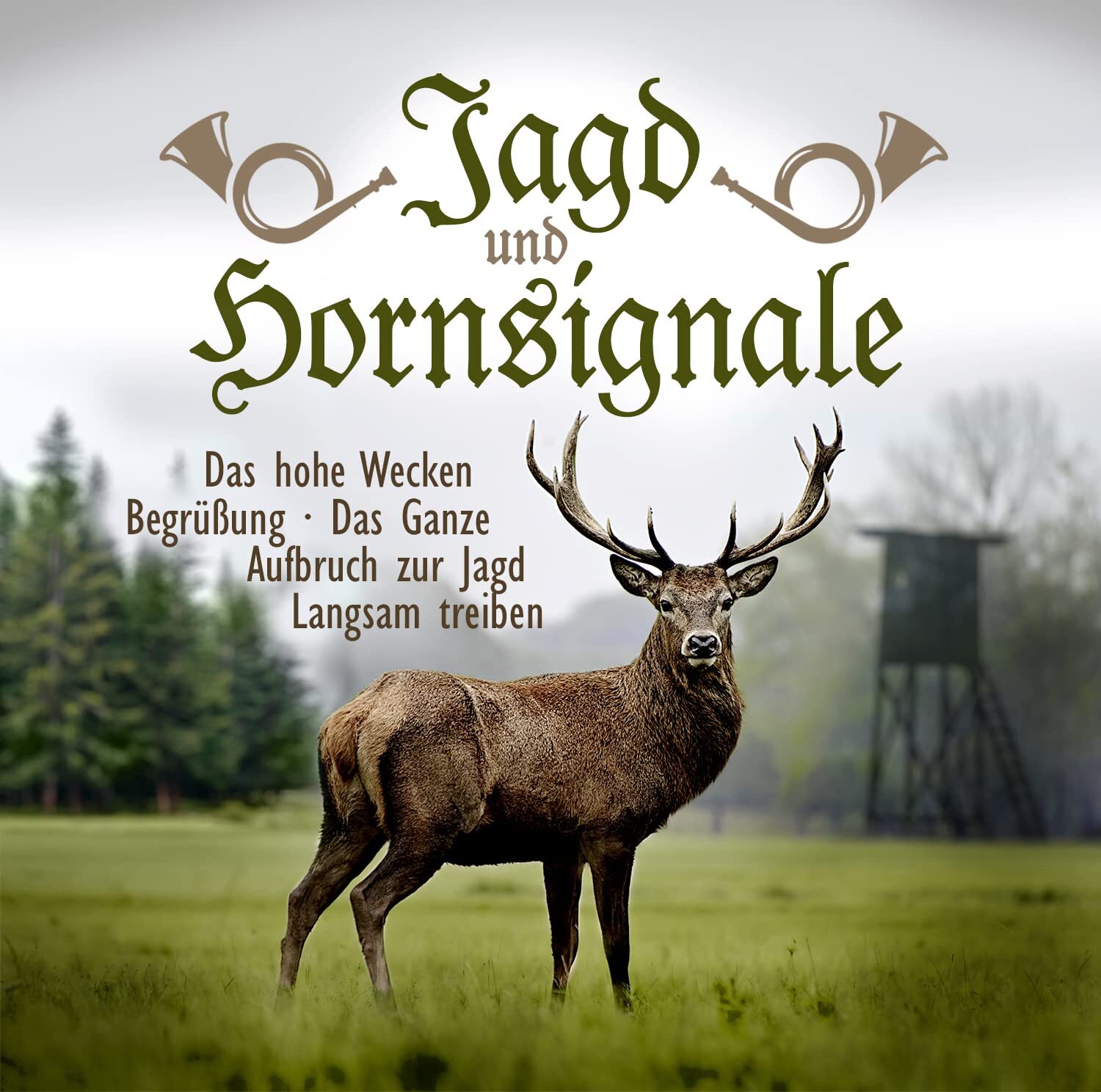 Various Jagd & Hornsignale (CD)
