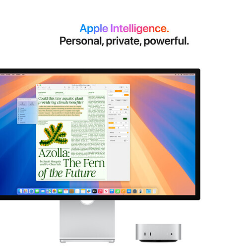 Apple mini with M4 Pro ChipM4 Pro 16-Core 24GB 512GB 155 w with iec WARRANTY - Imagen 5 de 7