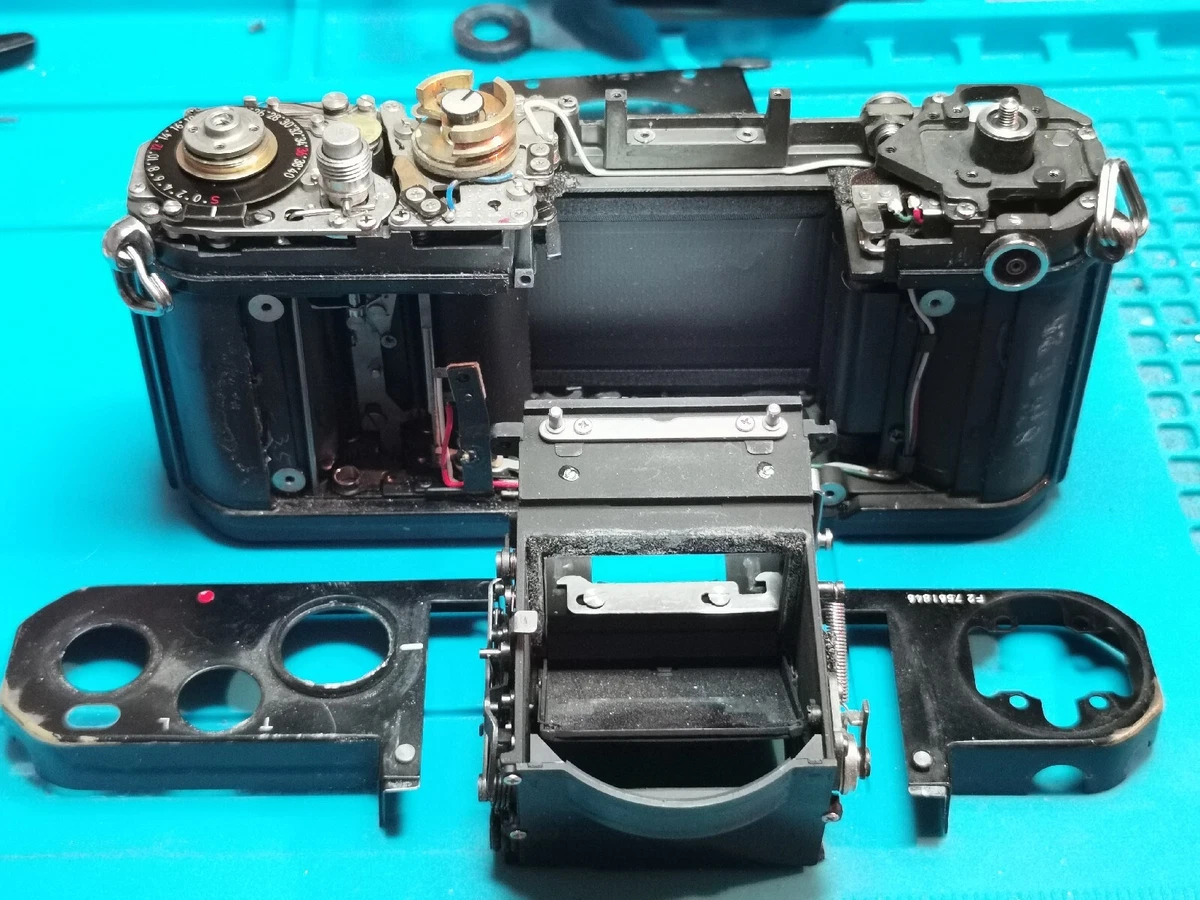 Nikon servicing cheap