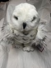 Douglas Wizard the Snowy Owl 10” Plush NWT Beautiful! Cuddle toy — photo 1