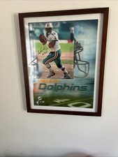 Miami Dolphins Collecting and Fan Guide 84