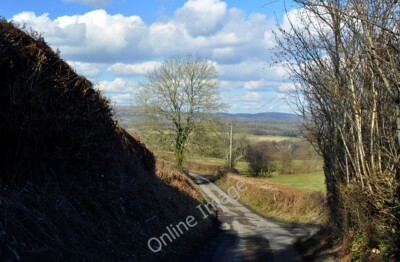 Foto 6x4 High Banked Lane - Coedarhydyglyn Drope Die Spur führt hinunter nach c2010