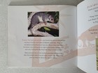 Bild 6 von 9